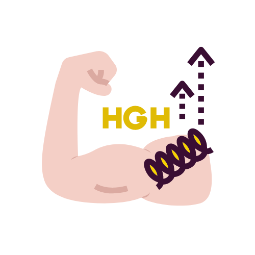 The Importance of Human Growth Hormone (HGH) for Male Vitality