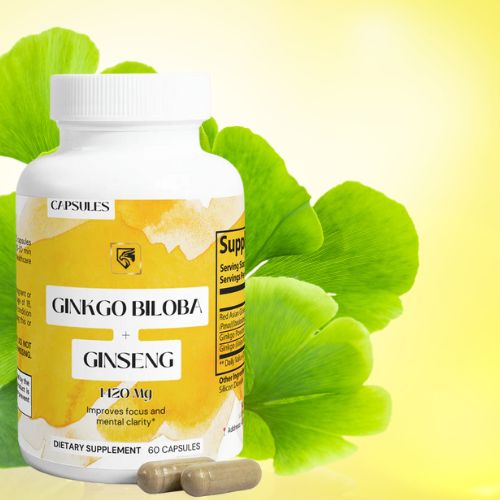 The Comprehensive Benefits of Ginkgo Biloba